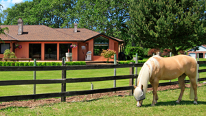 CMF Online Home Loan Center - Loan Options